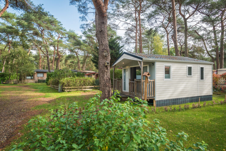 BosParkBilthoven_PetitChalet_04okt2025_RonArnoldussen-2