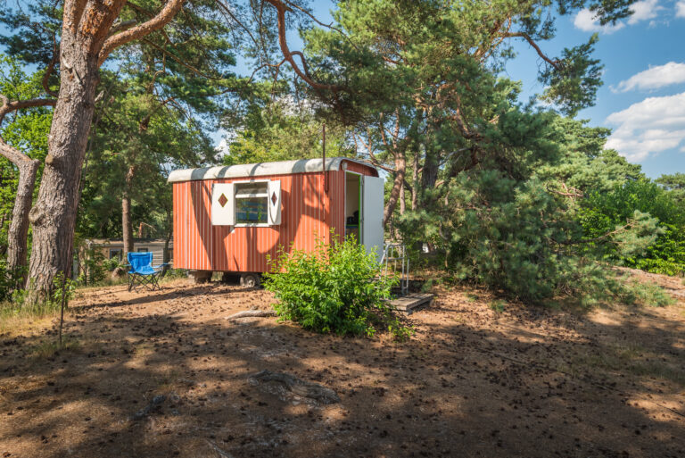 BosparkBilthoven_DuinRuit_01juli2025_RonArnoldussen-9