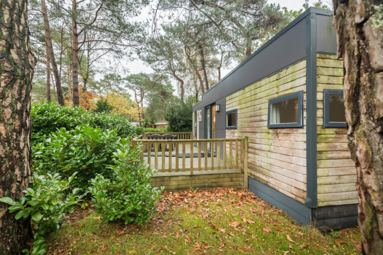 Chalet-Taos-BosParkBilthoven (1)