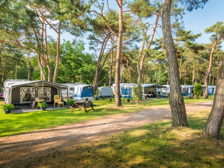 bos-park-bilthoven-chalet-ohara-13
