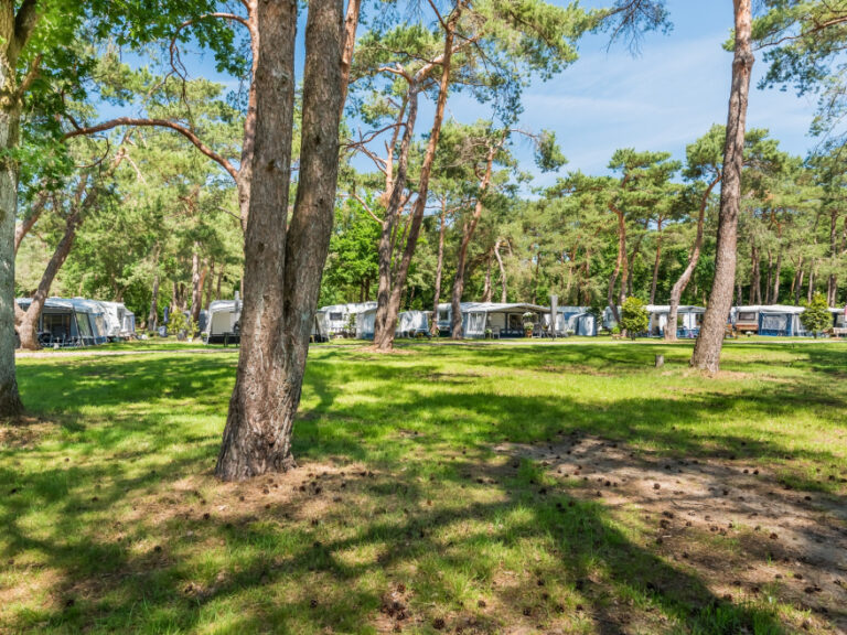 bos-park-bilthoven-comfort-seizoenplaats-1