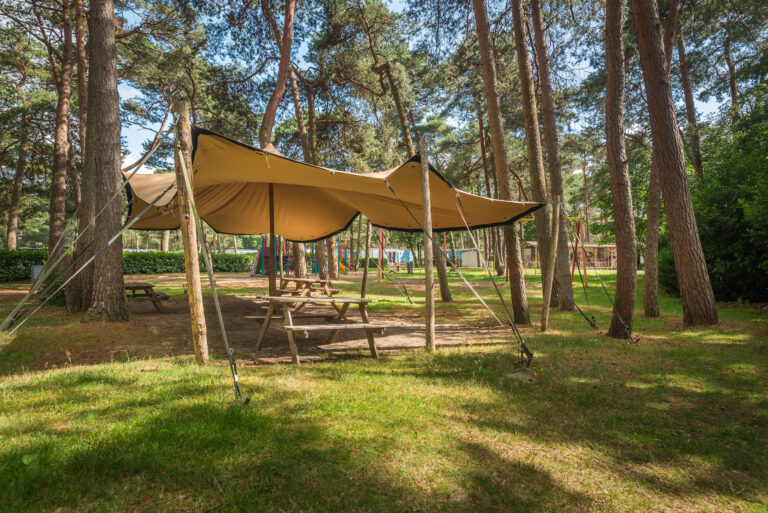 BosparkBilthoven_Sfeer_28juli2025_RonArnoldussen-10