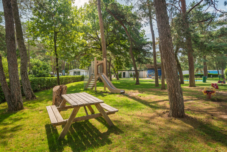 BosparkBilthoven_Sfeer_28juli2025_RonArnoldussen-16