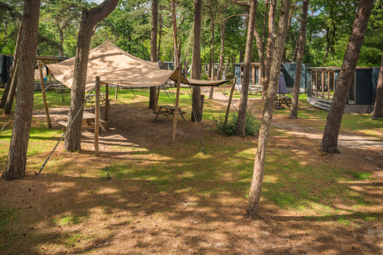 BosparkBilthoven_Sfeer_28juli2025_RonArnoldussen-7