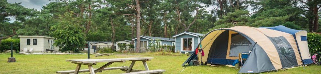 camping-bosparkbilthoven-impressie